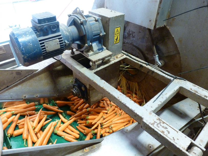 NSK Life-Lube® bearings improve the reliability of vegetable washing operations